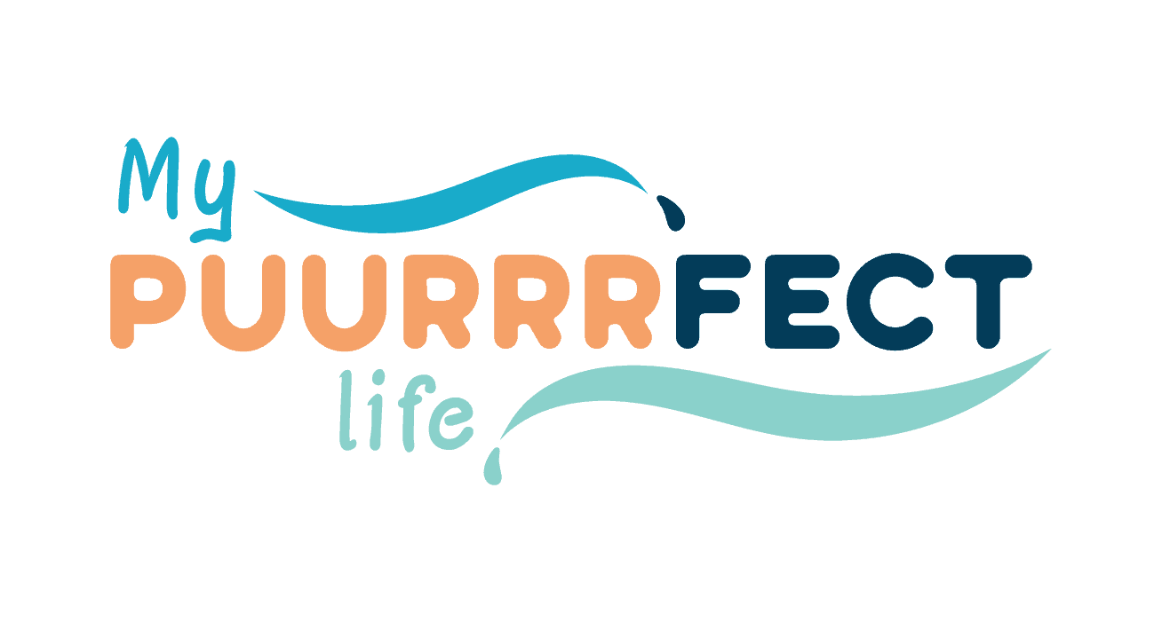 Colorful text graphic reading "my puurrrfect cat lifestyle" with stylized waves above and below the text.