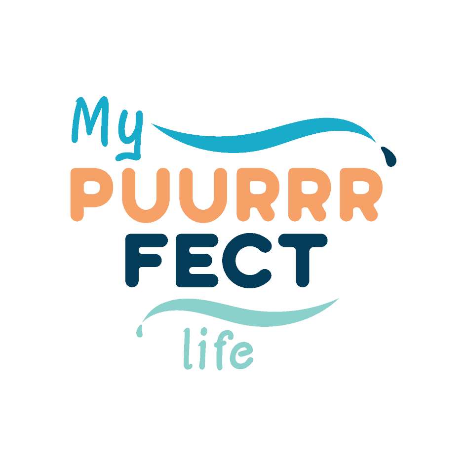 Graphic text design with the pun 'my puurrfect life' showcasing playful typography and a cat's tail motif, reflecting a joyful pet lifestyle.